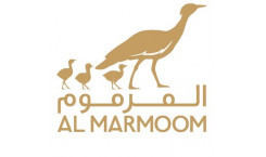 Al Marmoom Reserve