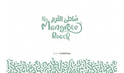MANGROVE BEACH