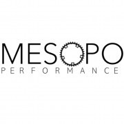 MESOPO Performance