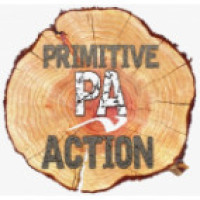 PRIMITIVE ACTION START